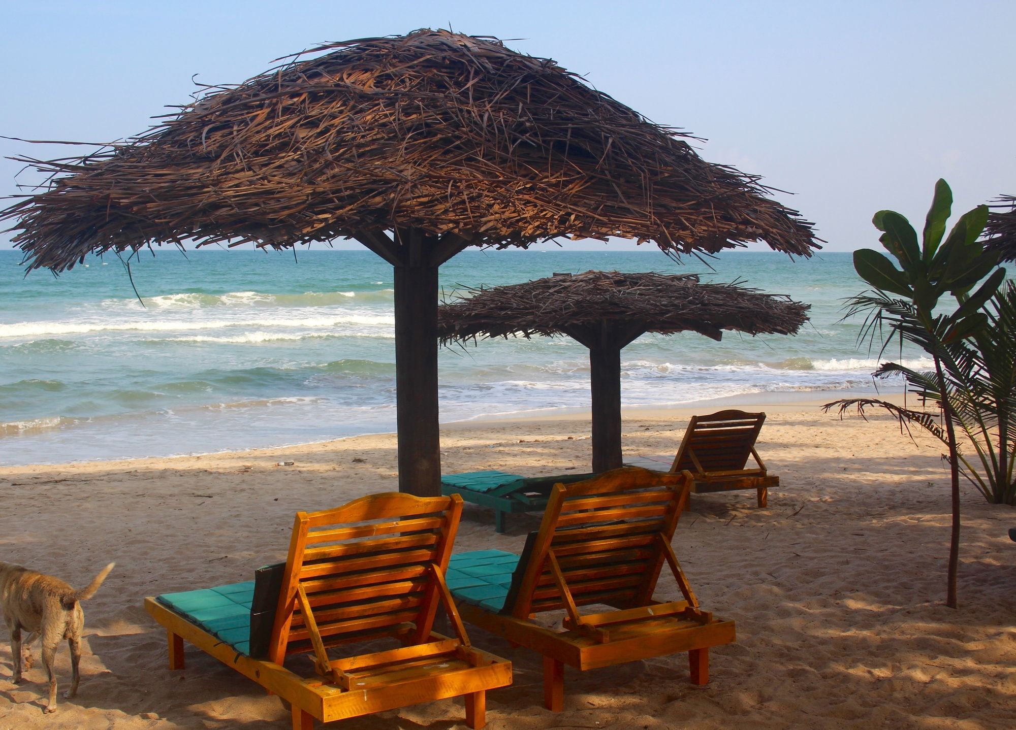 Golden Beach Cottages Trikunamalaja Zewnętrze zdjęcie